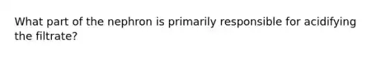 What part of the nephron is primarily responsible for acidifying the filtrate?