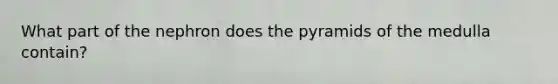 What part of the nephron does the pyramids of the medulla contain?