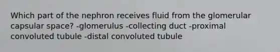 Which part of the nephron receives fluid from the glomerular capsular space? -glomerulus -collecting duct -proximal convoluted tubule -distal convoluted tubule