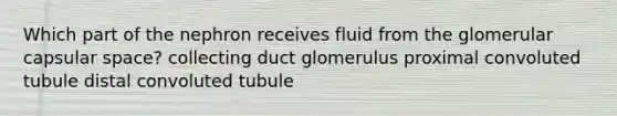 Which part of the nephron receives fluid from the glomerular capsular space? collecting duct glomerulus proximal convoluted tubule distal convoluted tubule