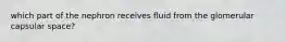 which part of the nephron receives fluid from the glomerular capsular space?