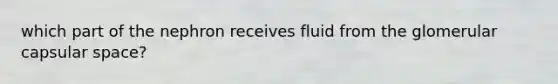 which part of the nephron receives fluid from the glomerular capsular space?