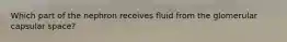 Which part of the nephron receives fluid from the glomerular capsular space?