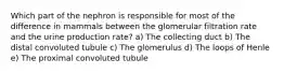 Which part of the nephron is responsible for most of the difference in mammals between the glomerular filtration rate and the urine production rate? a) The collecting duct b) The distal convoluted tubule c) The glomerulus d) The loops of Henle e) The proximal convoluted tubule