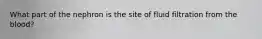 What part of the nephron is the site of fluid filtration from the blood?