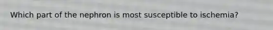 Which part of the nephron is most susceptible to ischemia?