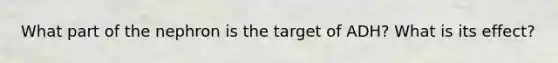 What part of the nephron is the target of ADH? What is its effect?