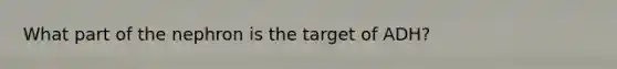 What part of the nephron is the target of ADH?