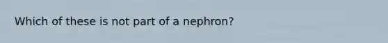 Which of these is not part of a nephron?