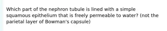 Which part of the nephron tubule is lined with a simple squamous epithelium that is freely permeable to water? (not the parietal layer of Bowman's capsule)