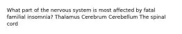 What part of the nervous system is most affected by fatal familial insomnia? Thalamus Cerebrum Cerebellum The spinal cord