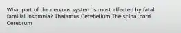 What part of the nervous system is most affected by fatal familial insomnia? Thalamus Cerebellum The spinal cord Cerebrum