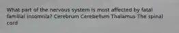 What part of the nervous system is most affected by fatal familial insomnia? Cerebrum Cerebellum Thalamus The spinal cord