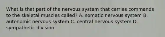 What is that part of the nervous system that carries commands to the skeletal muscles called? A. somatic nervous system B. autonomic nervous system C. central nervous system D. sympathetic division