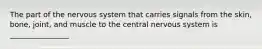 The part of the nervous system that carries signals from the skin, bone, joint, and muscle to the central nervous system is ________________