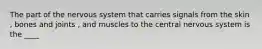 The part of the nervous system that carries signals from the skin , bones and joints , and muscles to the central nervous system is the ____