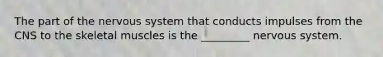 The part of the nervous system that conducts impulses from the CNS to the skeletal muscles is the _________ nervous system.