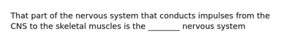 That part of the <a href='https://www.questionai.com/knowledge/kThdVqrsqy-nervous-system' class='anchor-knowledge'>nervous system</a> that conducts impulses from the CNS to the skeletal muscles is the ________ nervous system