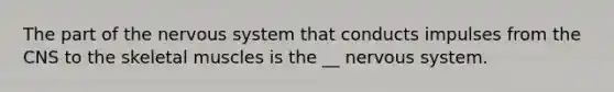 The part of the <a href='https://www.questionai.com/knowledge/kThdVqrsqy-nervous-system' class='anchor-knowledge'>nervous system</a> that conducts impulses from the CNS to the skeletal muscles is the __ nervous system.