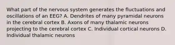 What part of the nervous system generates the fluctuations and oscillations of an EEG? A. Dendrites of many pyramidal neurons in the cerebral cortex B. Axons of many thalamic neurons projecting to the cerebral cortex C. Individual cortical neurons D. Individual thalamic neurons