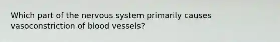 Which part of the nervous system primarily causes vasoconstriction of blood vessels?