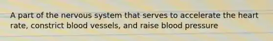 A part of the nervous system that serves to accelerate the heart rate, constrict blood vessels, and raise blood pressure