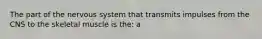 The part of the nervous system that transmits impulses from the CNS to the skeletal muscle is the: a