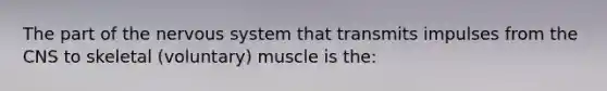 The part of the <a href='https://www.questionai.com/knowledge/kThdVqrsqy-nervous-system' class='anchor-knowledge'>nervous system</a> that transmits impulses from the CNS to skeletal (voluntary) muscle is the: