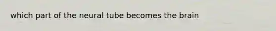 which part of the neural tube becomes the brain