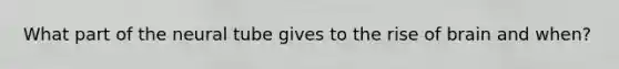 What part of the neural tube gives to the rise of brain and when?
