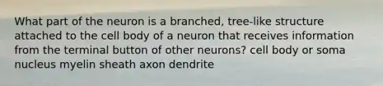 What part of the neuron is a branched, tree-like structure attached to the cell body of a neuron that receives information from the terminal button of other neurons? cell body or soma nucleus myelin sheath axon dendrite