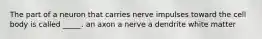 The part of a neuron that carries nerve impulses toward the cell body is called _____. an axon a nerve a dendrite white matter