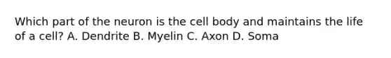 Which part of the neuron is the cell body and maintains the life of a cell? A. Dendrite B. Myelin C. Axon D. Soma