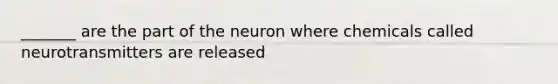 _______ are the part of the neuron where chemicals called neurotransmitters are released