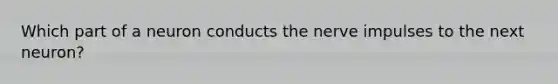 Which part of a neuron conducts the nerve impulses to the next neuron?