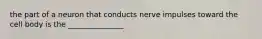 the part of a neuron that conducts nerve impulses toward the cell body is the _______________
