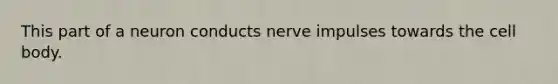 This part of a neuron conducts nerve impulses towards the cell body.