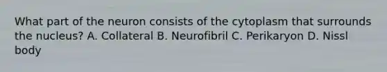 What part of the neuron consists of the cytoplasm that surrounds the nucleus? A. Collateral B. Neurofibril C. Perikaryon D. Nissl body