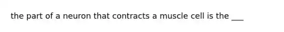 the part of a neuron that contracts a muscle cell is the ___