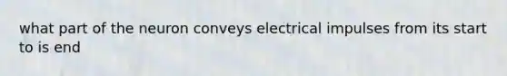 what part of the neuron conveys electrical impulses from its start to is end