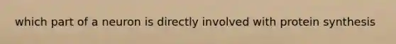 which part of a neuron is directly involved with protein synthesis