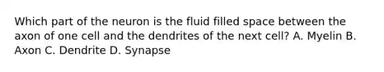 Which part of the neuron is the fluid filled space between the axon of one cell and the dendrites of the next cell? A. Myelin B. Axon C. Dendrite D. Synapse