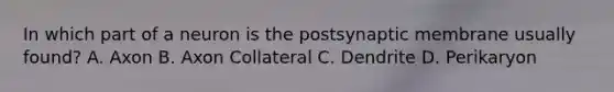 In which part of a neuron is the postsynaptic membrane usually found? A. Axon B. Axon Collateral C. Dendrite D. Perikaryon