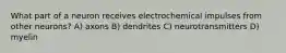 What part of a neuron receives electrochemical impulses from other neurons? A) axons B) dendrites C) neurotransmitters D) myelin