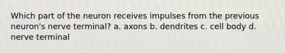 Which part of the neuron receives impulses from the previous neuron's nerve terminal? a. axons b. dendrites c. cell body d. nerve terminal