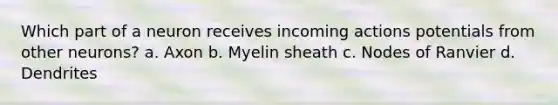 Which part of a neuron receives incoming actions potentials from other neurons? a. Axon b. Myelin sheath c. Nodes of Ranvier d. Dendrites
