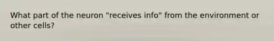What part of the neuron "receives info" from the environment or other cells?