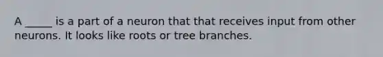 A _____ is a part of a neuron that that receives input from other neurons. It looks like roots or tree branches.