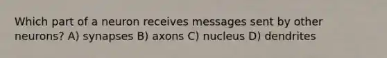 Which part of a neuron receives messages sent by other neurons? A) synapses B) axons C) nucleus D) dendrites