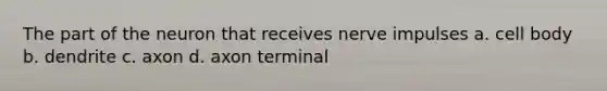 The part of the neuron that receives nerve impulses a. cell body b. dendrite c. axon d. axon terminal